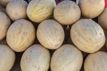 Bunch of melons are piled on top of each other