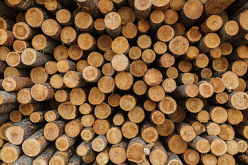 Pile of wood logs with a lot of different sizes