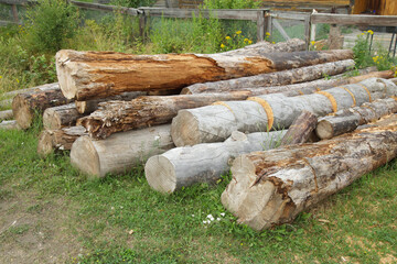 Pile of logs on the grass
