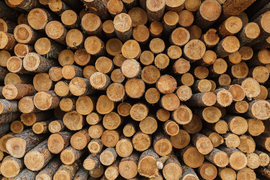 Pile of wood logs with a lot of different sizes