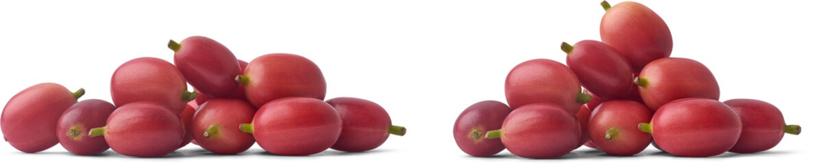pile of ripe red coffee cherries, vibrant glossy fruit with green stems isolated white background, concepts of fresh harvest and agriculture, close-up in side view
