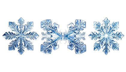 Trio of delicate, intricate, icy blue snowflakes on black