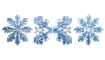 Trio of delicate, intricate, icy blue snowflakes on black