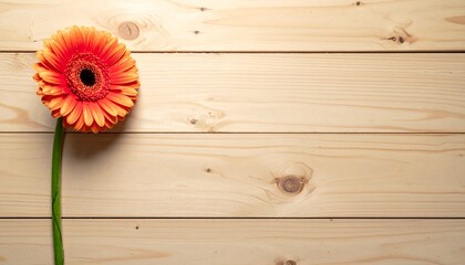 レトロな風合いのベージュの木製デスク（机）の真上から捉えられた構図です。鮮やかなオレンジ色のガーベラが茎ごと左端に寝かせて置かれている。テキストスペース、余白あり