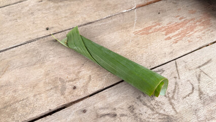Opogona subcervinella,Banana worms