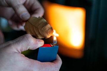 Person who burn bay leaves to bring serenity, reduce anxiety, relieve headaches and fatigue and purify the home, laurus nobilis