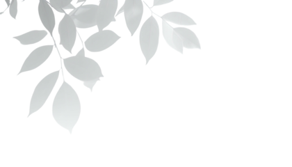 Leaves outlined in white against dark background, stylized