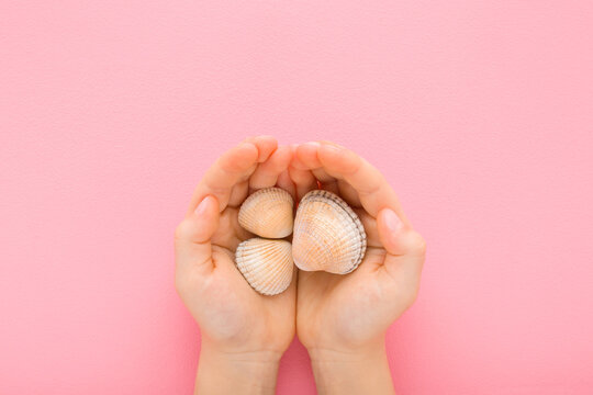 Little child girl opened palms holding and showing beautiful white sea shells on light pink table background. Pastel color. Closeup. Point of view shot. Top down view.