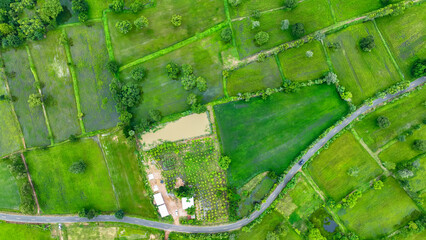 Aerial View of Rice Terraces and Green Paddy Field Patterns