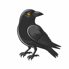 Fototapeta premium Illustration of Crow on White Background.