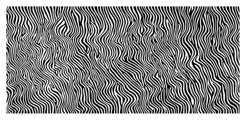 Seamless zebra print pattern vector background abstract wavy vertical lines animal skin texture © Logan