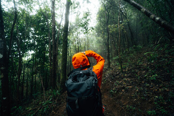 Hiking, backpacking, trekking through the forest and thick fog
