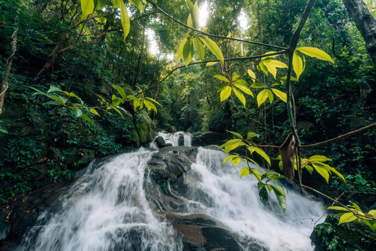 Waterfall in the rainforest along mossy rocks amidst the lush green trees of the forest.
