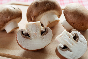 ブラウンマッシュルーム