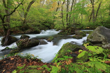 Oirase stream.