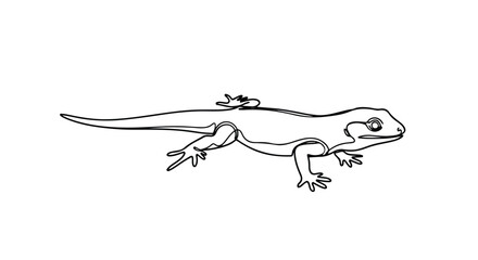 Obraz premium Lizard minimal wildlife vector line art illustration.