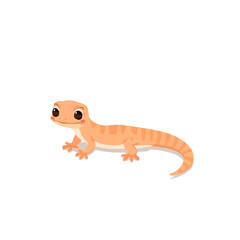 Cute Gecko Design Very Cool