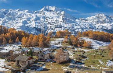 old village le Monal in beautiful autumnal scenic landscape in alpine valley  with golden larch trees in forest and snowy peak mountain background under blue sky  in tarentaise, savoie france