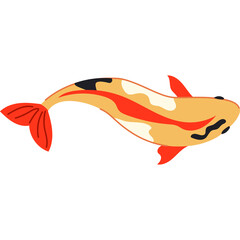 orange lily isolated on white