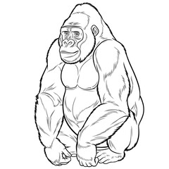 Monkey Gorilla 