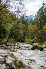 View of the Mostnica Gorge Riverbed in Slovenia on an Overcast Early Autumn Day