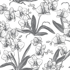 Vector seamless pattern with orchids. Phalaenopsis bush with flowers, leaves, and buds. Black ink drawing imitating engraving. Line drawing of an exotic flower. Tropical pattern for textiles.