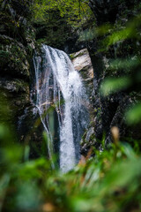 View of Mostnica Waterfall with Blurry Green Leaves in Foreground on an Overcast Day