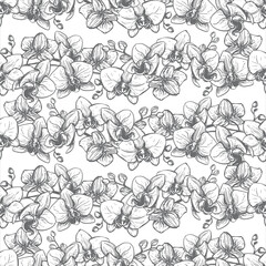 Vector ink drawing of an orchid branch. Seamless pattern with tropical summer flower for wedding invitations. Exotic phalaenopsis, botanical linear illustration. Engraving effect. Seamless background.