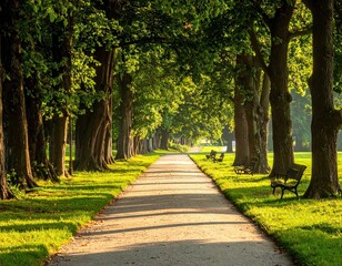 Sunlit Path Through Lush Green Tree Lined Park