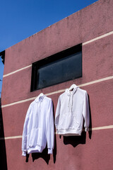 Crisp White Hoodies Hanging on Textured Pink Wall Basked in Bright Sunlight
