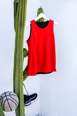 Vibrant Red Basketball Jersey Hanging Near Cactus