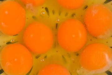 A detailed overhead macro shot of multiple bright orange raw egg yolks submerged in viscous whites, showcasing texture and rich color for food preparation