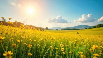 Obraz premium Sun-drenched field shimmering with golden wildflowers, swaying gently in a summer breeze A breathtaking landscape of natural beauty and vibrant color , summer, rural