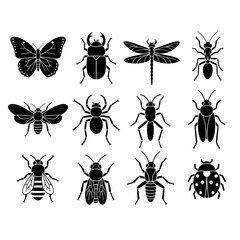 Simple black insect and bug silhouette icons set for diverse uses
