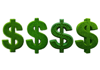 Set Green dollar sign for wealth isolated on transparent or white background