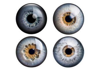 Collection human eye ball isolated on transparent or white background