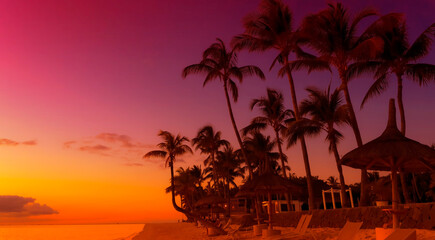 Banner Summer with sunset scene as palm trees on the beach background