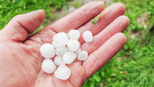 Large hailstones lie on the palm of the hand.