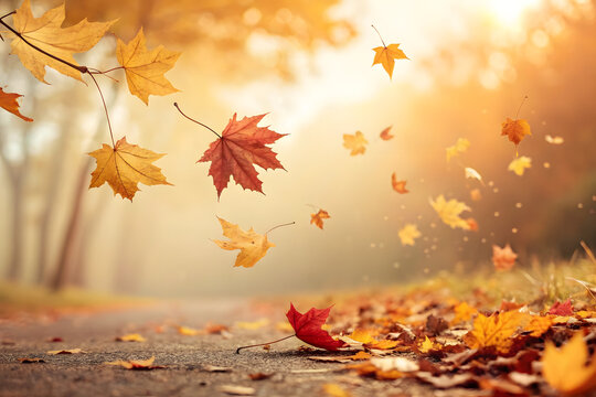 autumn leaves background,lake in autumn,warm autumn,tranquil autumn forest,minimalist autumn,wooden fence and fallen leaves,leaves are scattered on a wooden floor,autumn leaves - Powered by Adobe