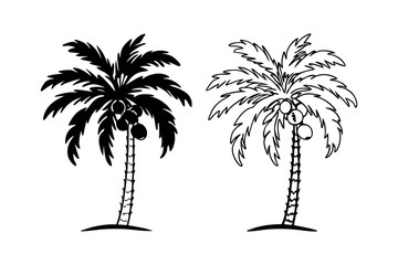 Obraz premium Palm tree with coconuts graphic