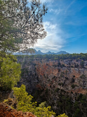 Sunset through the trees, Guver Canyon, Antalya.