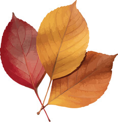 Four Colored Leaves Cluster  Minimal Nature Illustration on Light BackgroundPrint