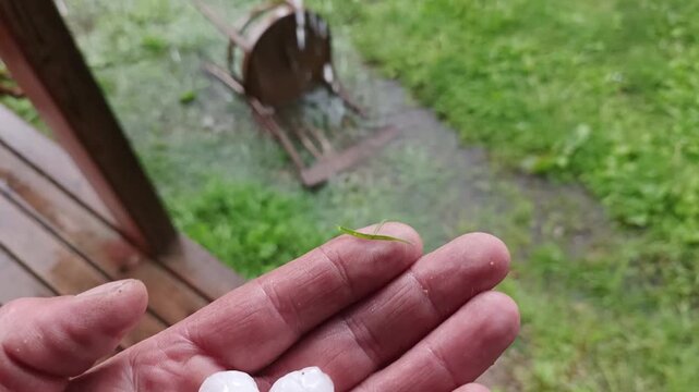 Large hailstones collected lie on the palm of the hand