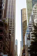 Cityscape with Tall Buildings and Clear Sky