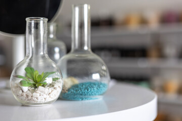 Round-bottom flasks are upcycled as modern decorative planters. One glass flask contains a small green succulent plant growing in white gravel, and another holds blue granules on a white table.