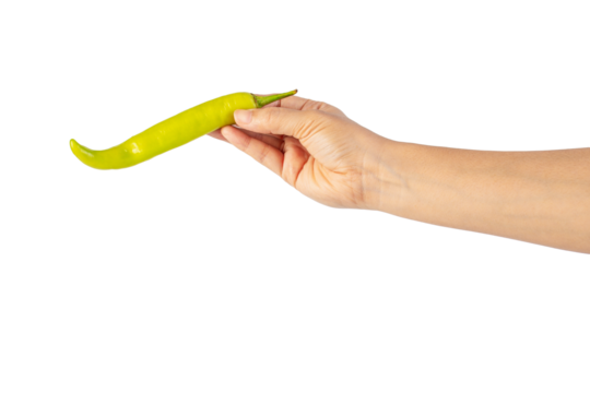 Green sweet pepper in hand on transparent background
