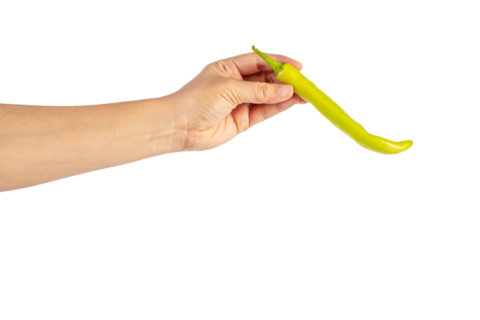 Green sweet pepper in hand on transparent background