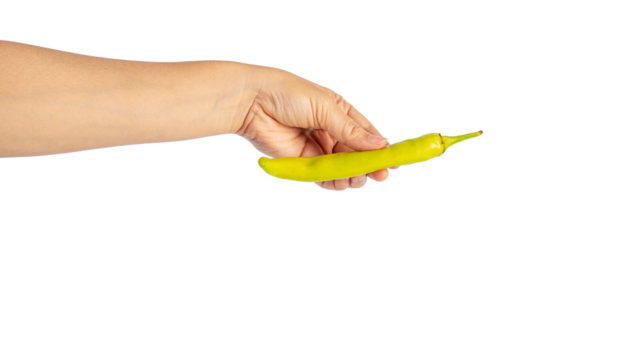 Green sweet pepper in hand on transparent background - Powered by Adobe