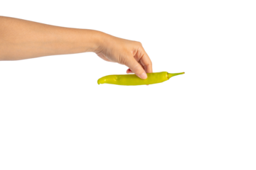 Green sweet pepper in hand on transparent background