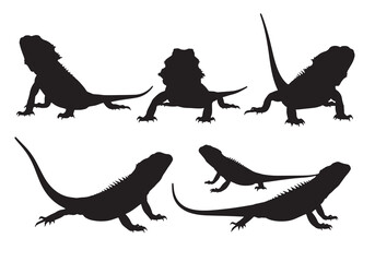 Silhouette of a bearded dragon collection of different poses of lizards vector illustration